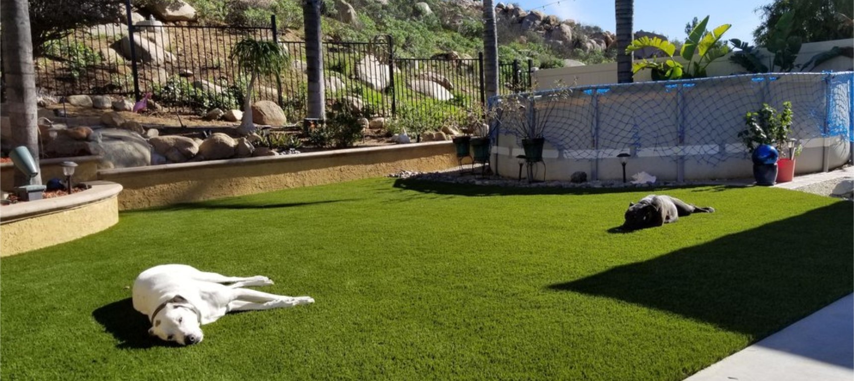 Pet Artificial Grass System, Green-R Turf of Ventura, CA