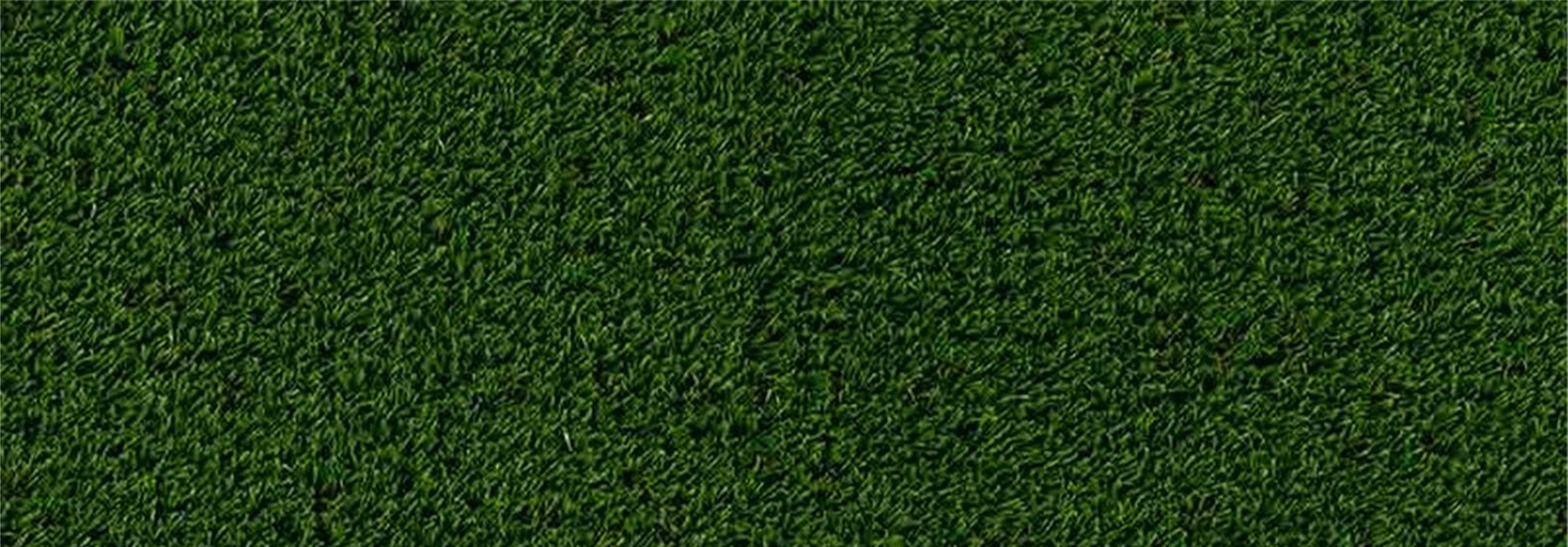 Oakmont Artificial Grass, Green-R Turf of Ventura Artificial Turf